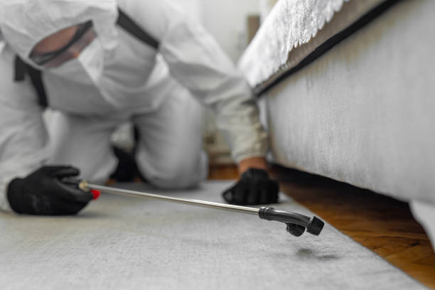 Professional Bed Bug Control technician working in Premont, TX